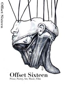 offset16_cover-300
